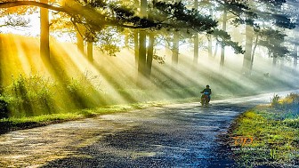 VDL31. Đà Lạt 3 Ngày 2 Đêm