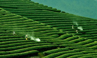 Hà Nội - Sơn La - Điện Biên - Mộc Châu