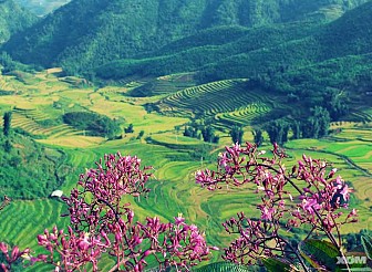 Tour Hà Nội - Sơn La - Điện Biên - 3 Ngày 2 Đêm Tết Dương lịch 2019 Tour Hà Nội - Sơn La - Điện Biên - 3 Ngày 2 Đêm Tết Dương lịch 2019