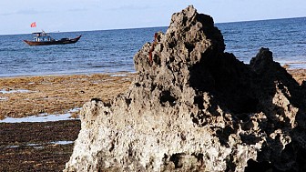 Hang Câu, tác phẩm thiên nhiên hùng vĩ Hang Câu, tác phẩm thiên nhiên hùng vĩ