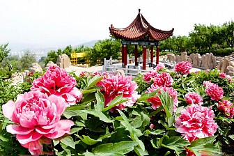 Lạc Dương- Kinh Đô 15 Triều Đại Trung Quốc