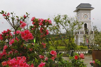 Khám Phá Sapa Mùa Hoa Đỗ Quyên Khám Phá Sapa Mùa Hoa Đỗ Quyên