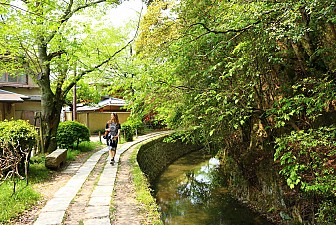 Mãn Nhãn Với Con Đường Triết Học