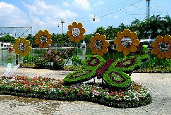 Mê hoặc trong vườn bướm Thái