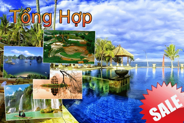 Tổng hợp các tour khuyến mãi trong nước Tổng hợp các tour khuyến mãi trong nước
