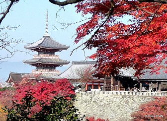 Một Thoáng Kiyomizu Dera