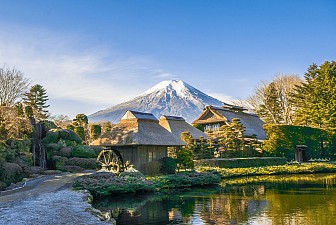Cung Đường Vàng: Tokyo - Fuji - Nabana No Santo - Kyoto - Osaka 2025