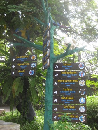 Ngắm vườn thú nổi tiếng nhất Thái Lan tại công viên Safari World