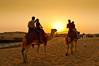 Sa Mạc Safari_ Điểm Du Lịch Không Thể Thiếu Ở Dubai