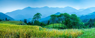 Sắc Màu Hoàng Su Phì Sắc Màu Hoàng Su Phì