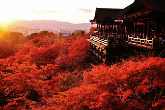 Sắc Màu Kiyomizu Dera Sắc Màu Kiyomizu Dera