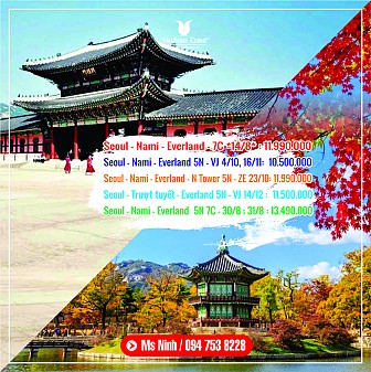 Tour Hàn Quốc mùa lá đỏ Seoul - Everland - Nami - N Tower 5n4d Tour Hàn Quốc mùa lá đỏ Seoul - Everland - Nami - N Tower 5n4d