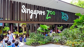 Singapore Zoo, điểm đến cho những người yêu động vật hoang dã