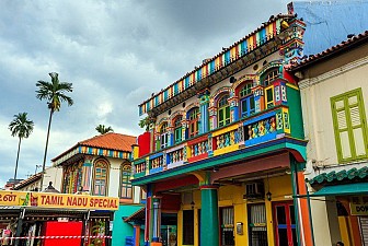 Sự cuốn hút đặc biệt của Little India