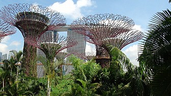 Tham quan vườn thực vật garden by the bay