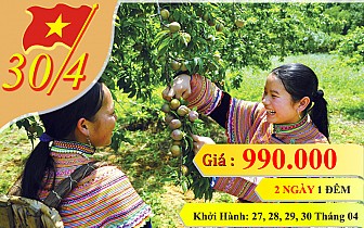 Tour Mộc Châu - Mai Châu 30 tháng 4 - 2 Ngày