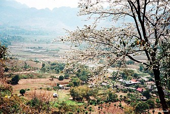 Tour Mộc Châu - Sơn La - Điện Biên - Sapa Tết Âm Lịch