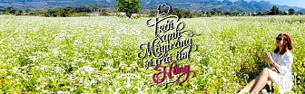 Tour Mộc Châu Mùa Hoa Cải