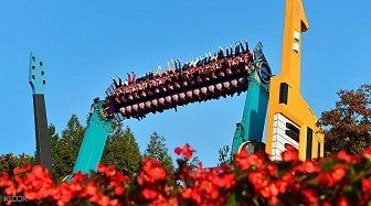 Trải Nghiệm Đến Công Viên Everland