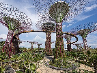 vườn thực vật garden by the bay, khu vườn độc đáo tại Singapore