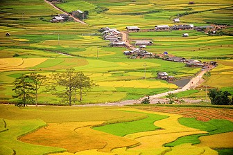 Yên Bái - Thác Bà - Mù Cang Chải 3 Ngày 2 Đêm