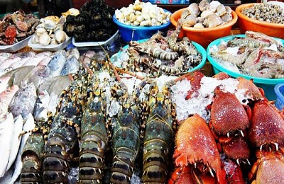 4 điều bạn đặc biệt phải làm khi Đi Thăm Quan
 Phú Quốc 4 điều bạn đặc biệt phải làm khi Đi Thăm Quan
 Phú Quốc