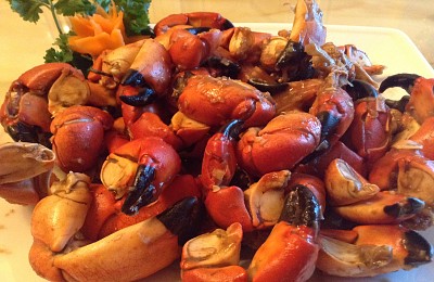 5 Loại Hải Sản Độc Đáo Ở Quan Lạn 5 Loại Hải Sản Độc Đáo Ở Quan Lạn