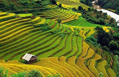 7 địa điểm phải đến khi đến Mù Cang Chải mùa lúa chín 7 địa điểm phải đến khi đến Mù Cang Chải mùa lúa chín