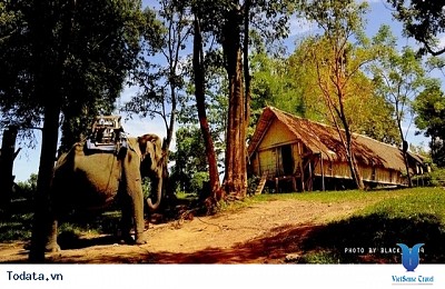 Bản Đôn - Điểm Đến Hút Khách Tại Buôn Ma Thuột Bản Đôn - Điểm Đến Hút Khách Tại Buôn Ma Thuột