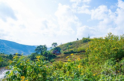 Bản lịch trình
 cộng đồng Sin Súi Hồ Bản lịch trình
 cộng đồng Sin Súi Hồ