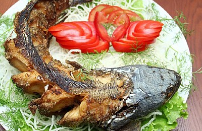 Cá tiến vua nổi tiếng của Tây Nguyên đại ngàn Cá tiến vua nổi tiếng của Tây Nguyên đại ngàn