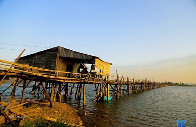 Cầu Ông Cọp - Vẻ Đẹp Nên Thơ Cây Cầu Gỗ Dài Nhất Việt Nam Cầu Ông Cọp - Vẻ Đẹp Nên Thơ Cây Cầu Gỗ Dài Nhất Việt Nam