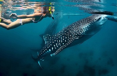 Cebu, nữ hoàng miền Nam của Philippines