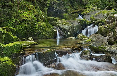 Chiêm ngưỡng Ốc Cửu đảo (đảo Yakushima) của Nhật Bản Chiêm ngưỡng Ốc Cửu đảo (đảo Yakushima) của Nhật Bản