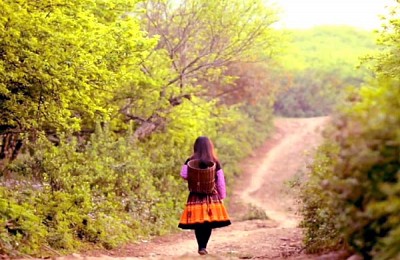 Chương Trình Xúc Tiến lịch trình
  Chương Trình Xúc Tiến lịch trình