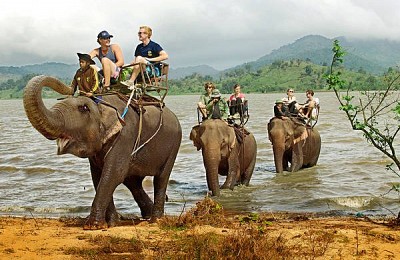 Có Một Buôn Đôn Huyền Thoại Có Một Buôn Đôn Huyền Thoại