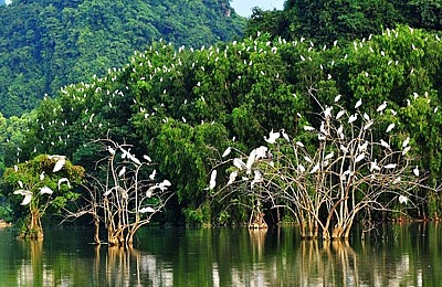 Có Một Thung Nham Hết Sức Yên Bình Có Một Thung Nham Hết Sức Yên Bình