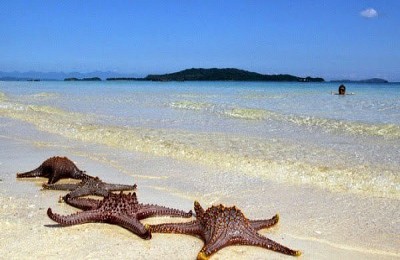 Cô Tô- Địa Điểm Tránh Nắng Tuyệt Vời Cho Mùa Hè Này Cô Tô- Địa Điểm Tránh Nắng Tuyệt Vời Cho Mùa Hè Này