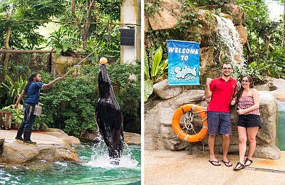 Cùng Xuôi Dòng Trên River Safari Singapore