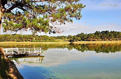 Đà Lạt Mờ Sương, Dịu Dàng Những Ngày Thu... Đà Lạt Mờ Sương, Dịu Dàng Những Ngày Thu...