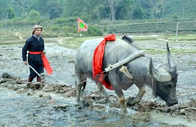 Đặc sắc Lễ hội Lồng Tồng của đồng bào dân tộc ở Thái Nguyên Đặc sắc Lễ hội Lồng Tồng của đồng bào dân tộc ở Thái Nguyên