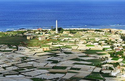 Đắm mình trong sắc màu biển đảo Lý Sơn Đắm mình trong sắc màu biển đảo Lý Sơn