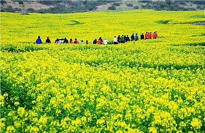 Đảo Jeju thiên đường tình yêu ở hàn quốc Đảo Jeju thiên đường tình yêu ở hàn quốc