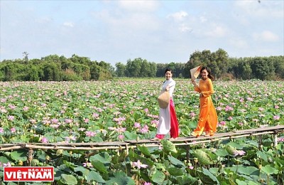 Đến Đồng Sen Gò Tháp ngắm cảnh và thưởng thức ẩm thực miệt vườn Đến Đồng Sen Gò Tháp ngắm cảnh và thưởng thức ẩm thực miệt vườn