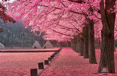 Những địa điểm thú vị tại Hàn Quốc