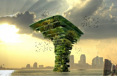 Đến với Maldives không thể không biết đến bông hoa đại dương