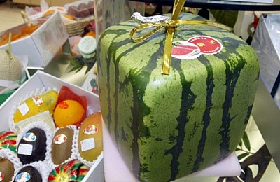 Điểm tên kho tàng trái cây hàng nghìn USD ở Nhật Bản Điểm tên kho tàng trái cây hàng nghìn USD ở Nhật Bản