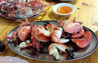 Độc Đáo Hải Sản Hạ Long Độc Đáo Hải Sản Hạ Long
