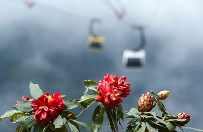 hành trình Sapa Mùa Hoa Đỗ Quyên - Hành Trình Thu Hút Đông Đảo Du Khách Nửa Đầu 2019 Của VietSense Travel hành trình Sapa Mùa Hoa Đỗ Quyên - Hành Trình Thu Hút Đông Đảo Du Khách Nửa Đầu 2019 Của VietSense Travel