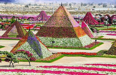 Dubai Khám Phá Vườn Hoa Khổng Lồ Giữa Lòng Sa Mạc Dubai Khám Phá Vườn Hoa Khổng Lồ Giữa Lòng Sa Mạc